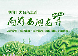 绿色茶园
